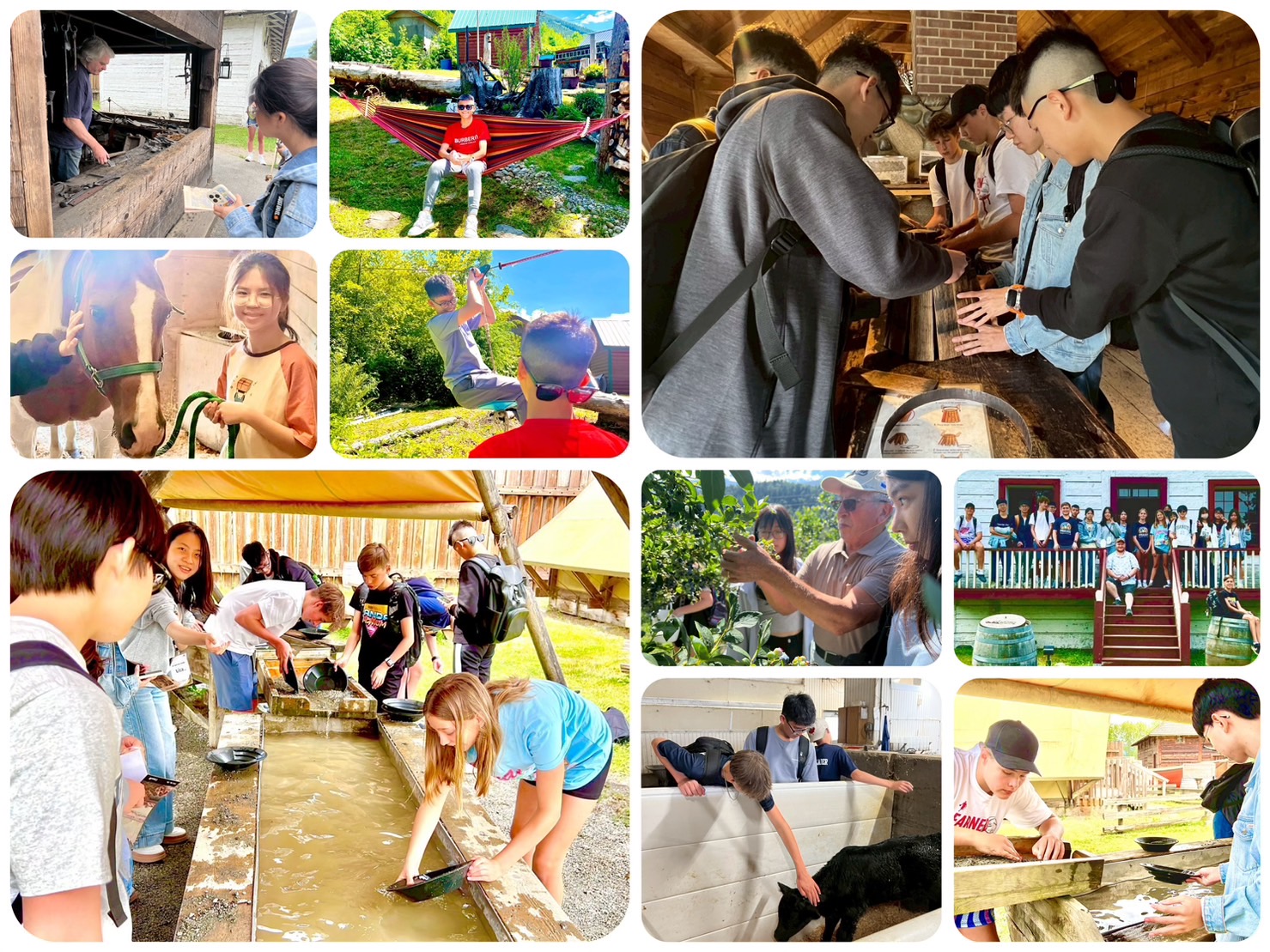 加拿大遊學團｜獨門私人景點、警察局登記合法寄宿家庭、私房體驗都在這裡